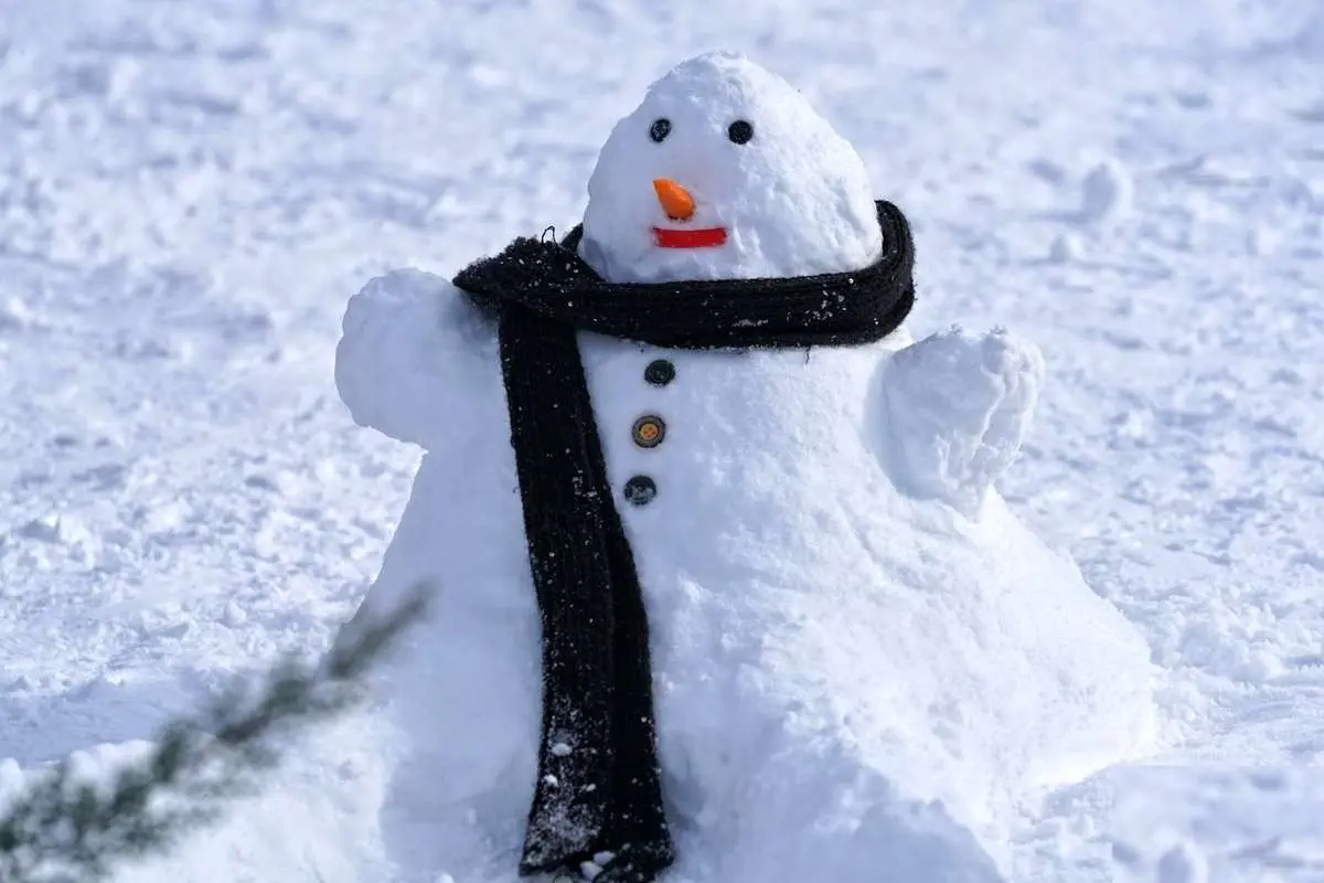 تصاویر؛ جشنواره آدم برفی در اردبیل