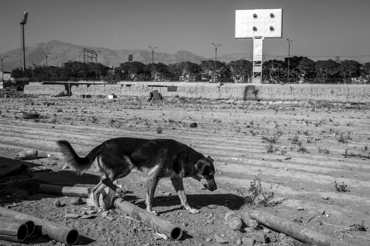 تصاویر؛ فوتبال در قلعه