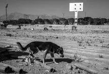 تصاویر؛ فوتبال در قلعه