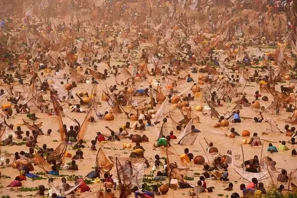 هجوم صدها نفر به رودخانه برای صید بزرگترین ماهی 