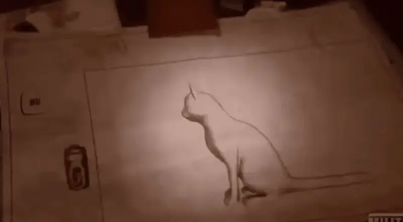 گربه جاسوس