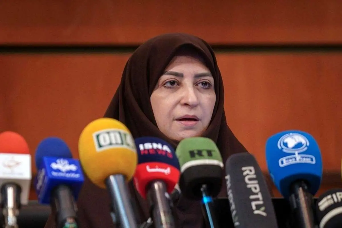 شینا انصاری: در دولت چهاردهم مازوتسوزی کتمان نشد