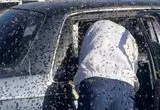 ببینید؛ حمله مرگبار زنبورها به مشتریان یک سوپرمارکت