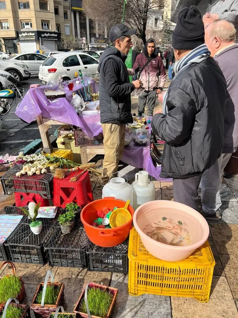 بازار گل ۸