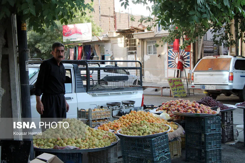 گالری