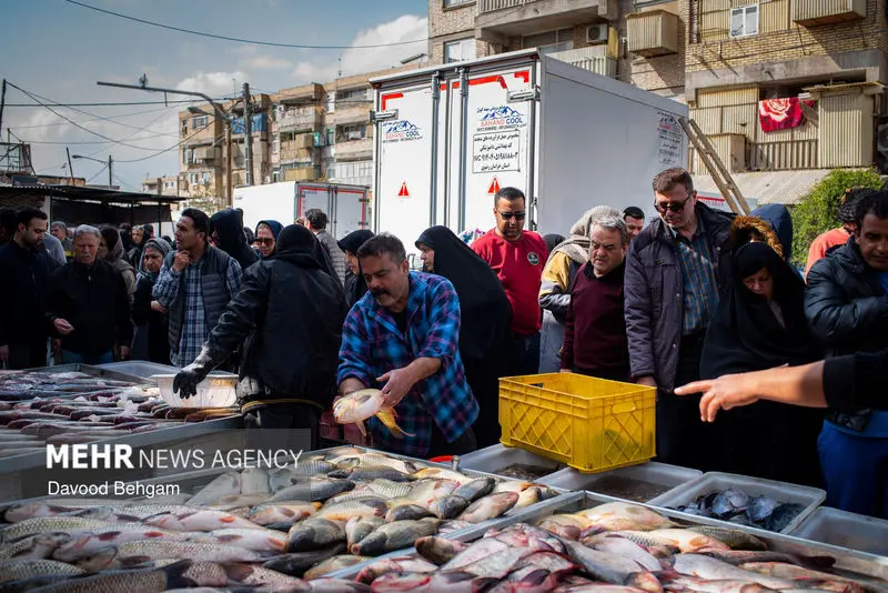 نوروز ۱۴۰۵ ۲۵