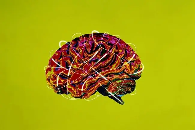 مغزتان را بیمه کنید؛ توصیه‌هایی که خودِ جراحان مغز به آن پایبندند