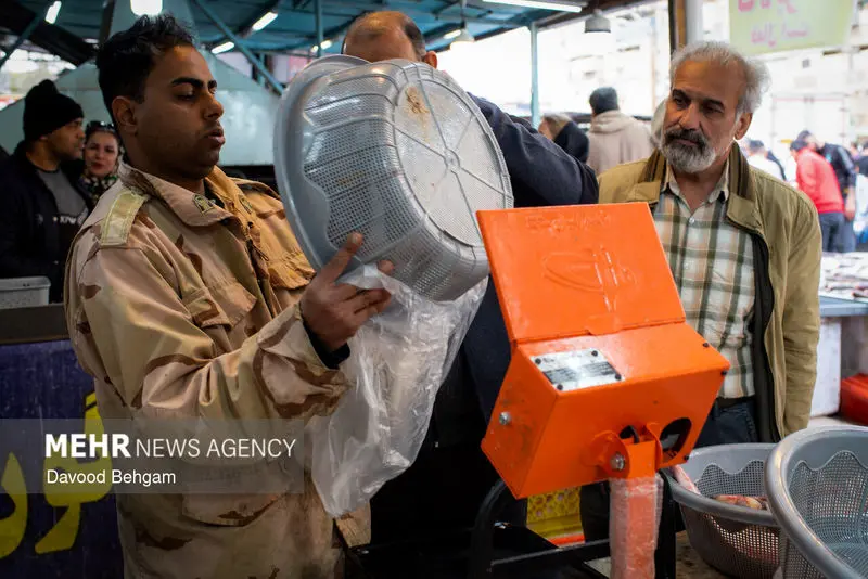 نوروز ۱۴۰۵ ۷