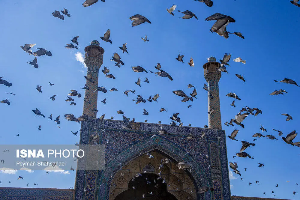 تصاویر؛ فرونشست در مسجد جامع اصفهان 38