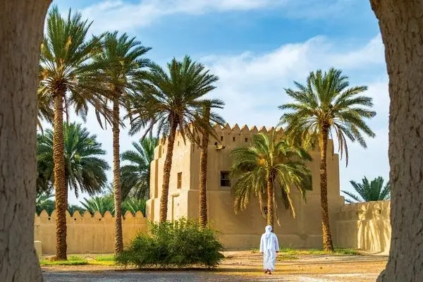 ببینید؛ نخل‌های مسجد شجره در عربستان توجه حجاج را جلب کرد
