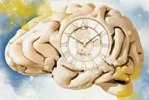 دانشمندان پاسخ می‌دهند: چرا هرچه سن‌مان بالاتر می‌رود زمان زودتر می‌گذرد؟ 