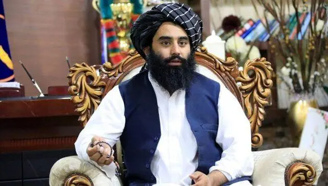 پیام یک مقام طالبان به مهاجران افغانستانی: برگردید؛ جان‌تان در امان است
