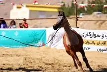 تصاویر؛ شوی اسب‌های فاخر در یزد