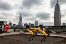 سگ رباتیک ژیمناست شد!