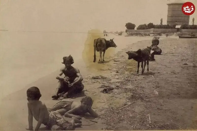 آب تنی