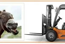 سرقت هالیوودی از طلافروشی در ترکیه: با لیفتراک آمد، با الاغ فرار کرد