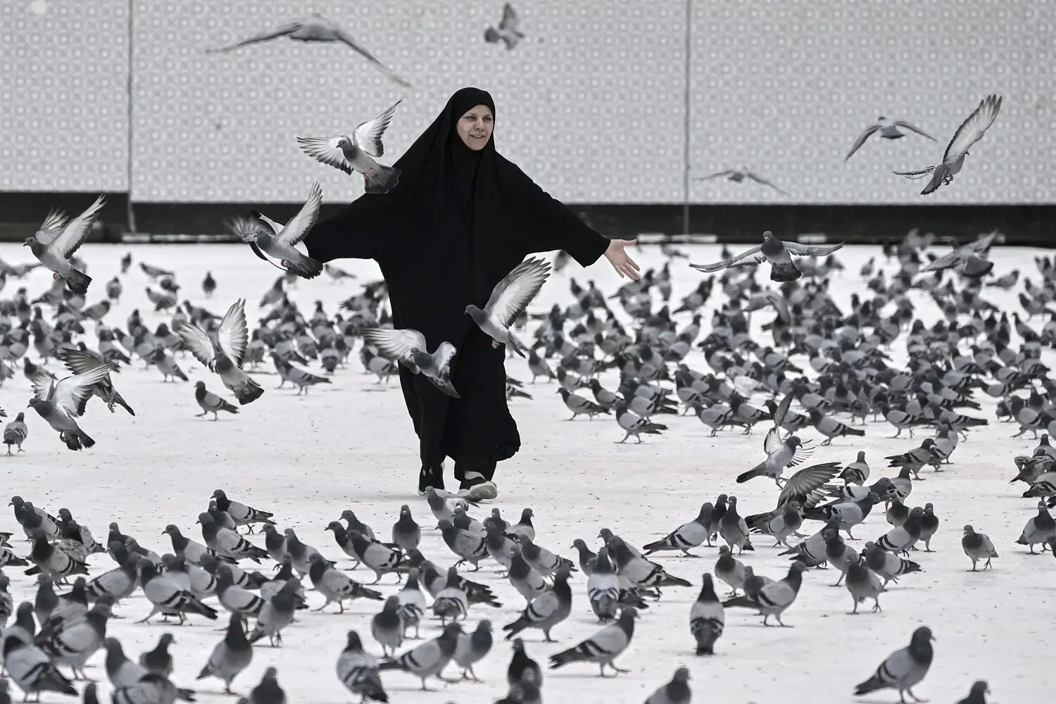 تصاویری از مناسک حج