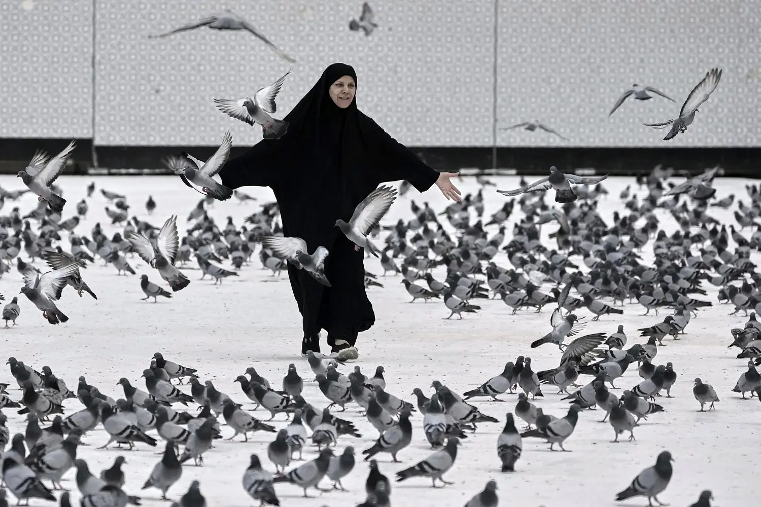 تصاویری از مناسک حج