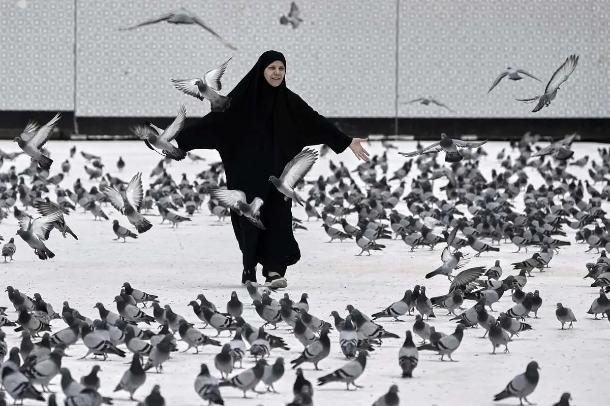 تصاویری از مناسک حج