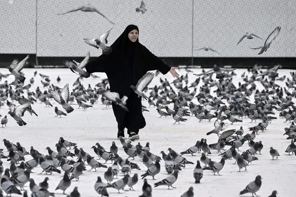 تصاویری از مناسک حج