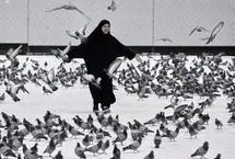 تصاویری از مناسک حج