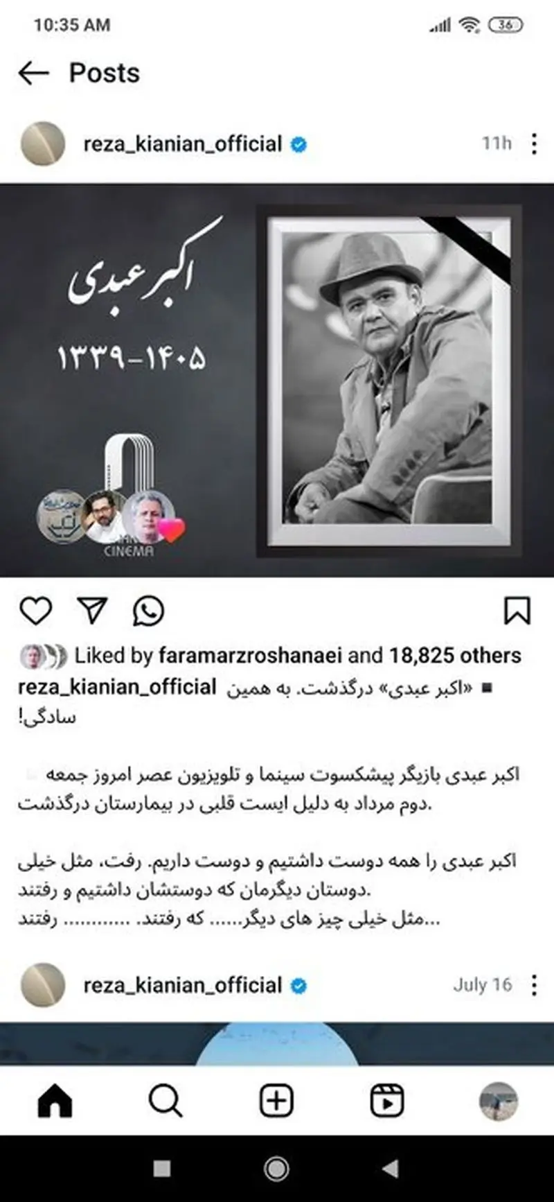 رضا کیانیان
