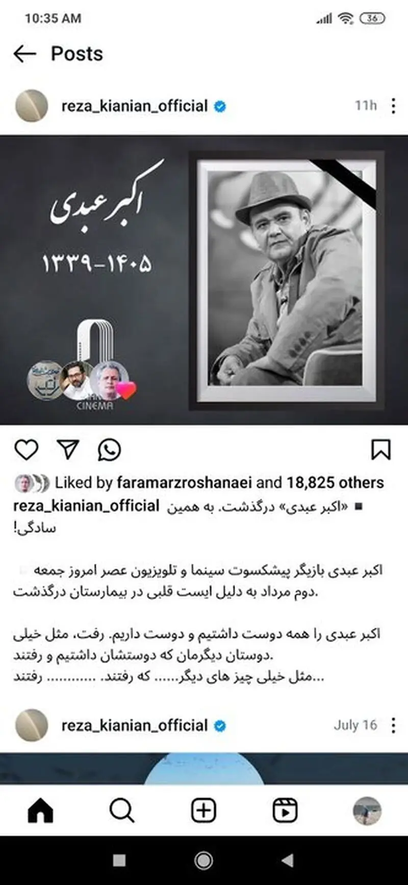 رضا کیانیان