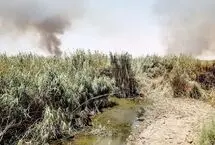 هورالعظیم میان آتش و کم‌آبی/ تنها ۴۰ درصد تالاب هورالعظیم آب دارد
