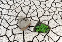 بلایی بدتر از فرسایش خاک/ کاهش نگران کننده کربن آلی خاک در استان‌های کشور