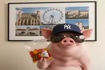 عینک دودی؛ پاستیل خرسی برای دیپلمات‌های ما، خوکی برای آن‌ها