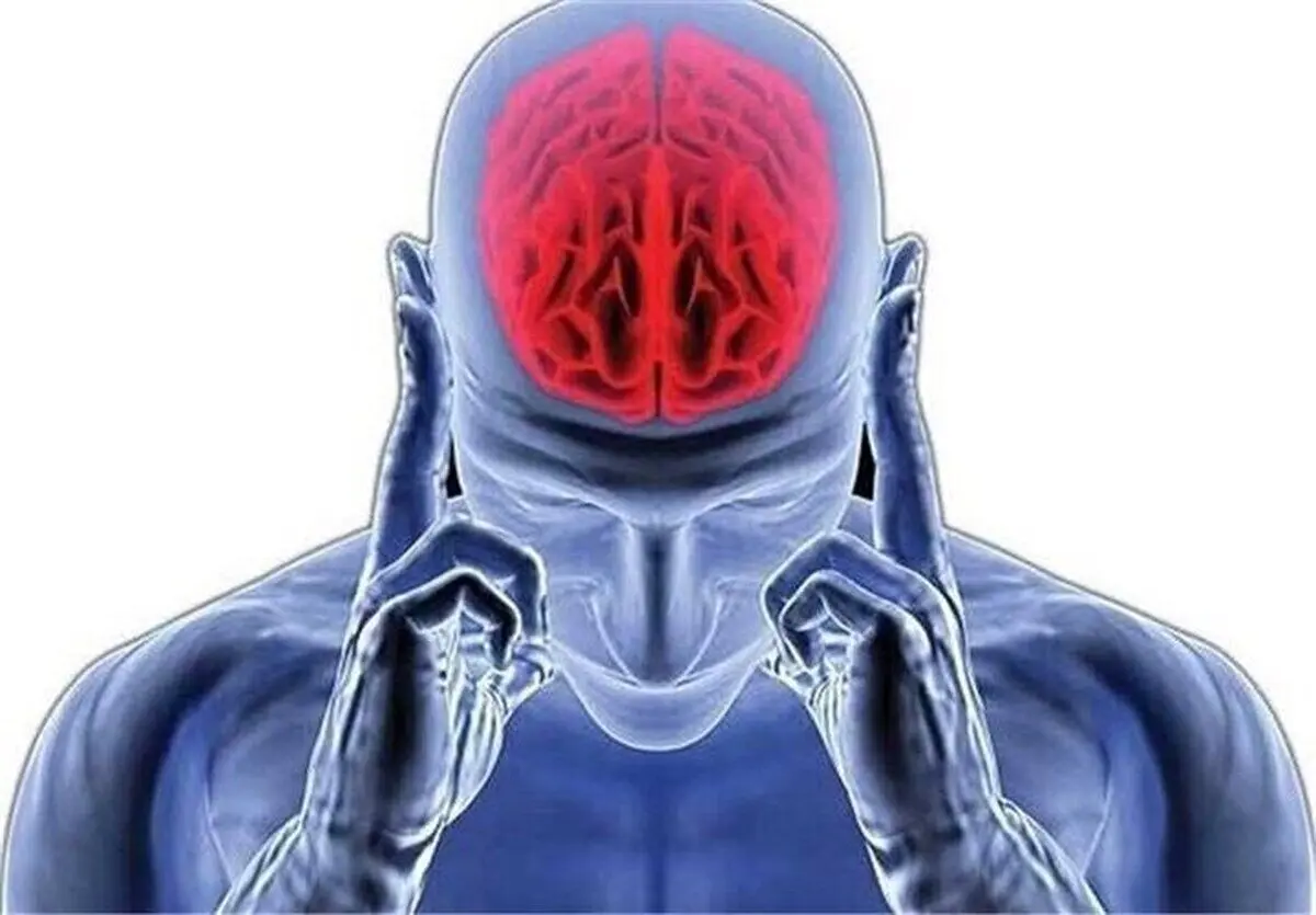 آیا ما تنها از 10 درصد توان مغز خود استفاده می کنیم؟