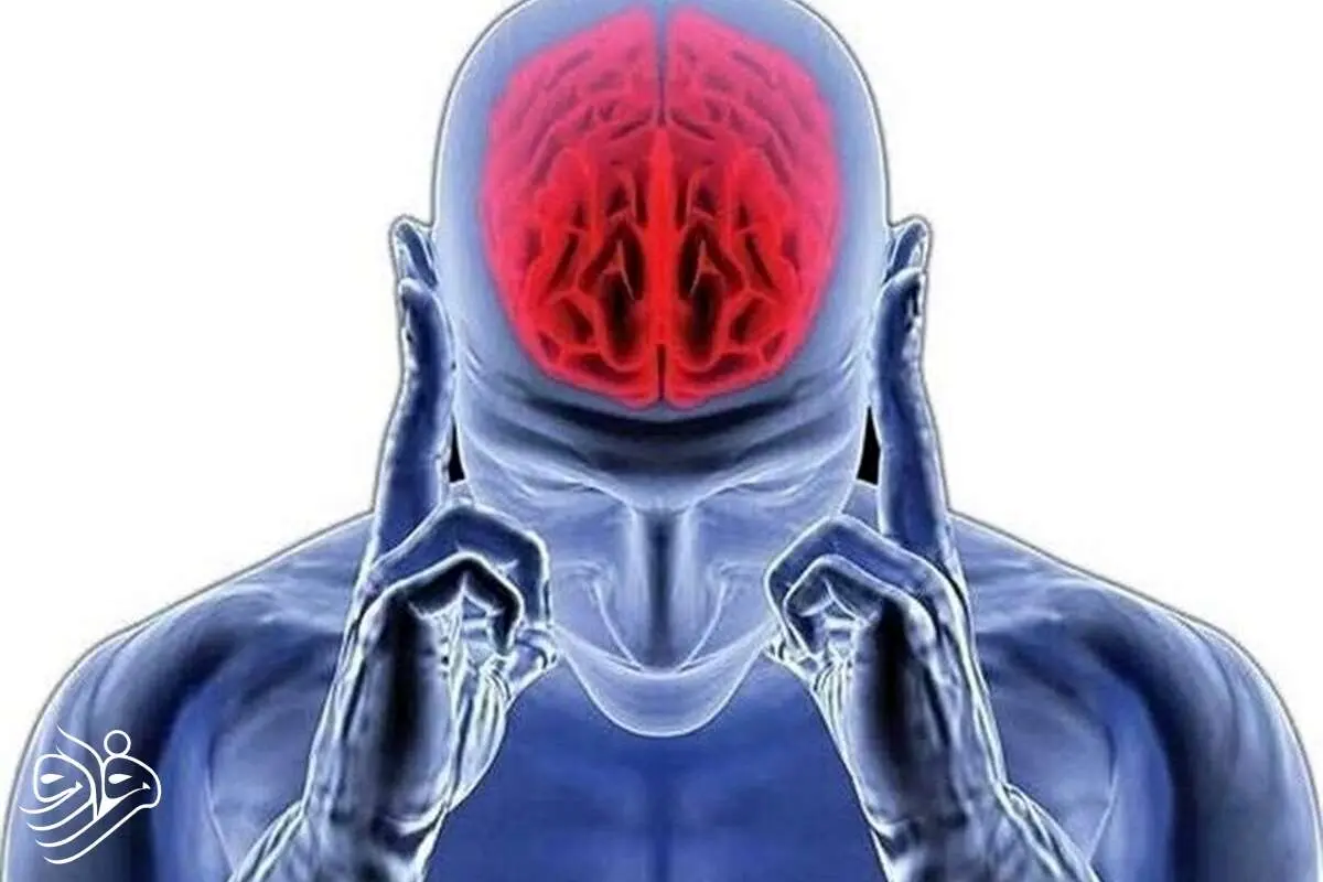 آیا ما تنها از 10 درصد توان مغز خود استفاده می کنیم؟