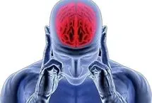 آیا ما تنها از 10 درصد توان مغز خود استفاده می کنیم؟