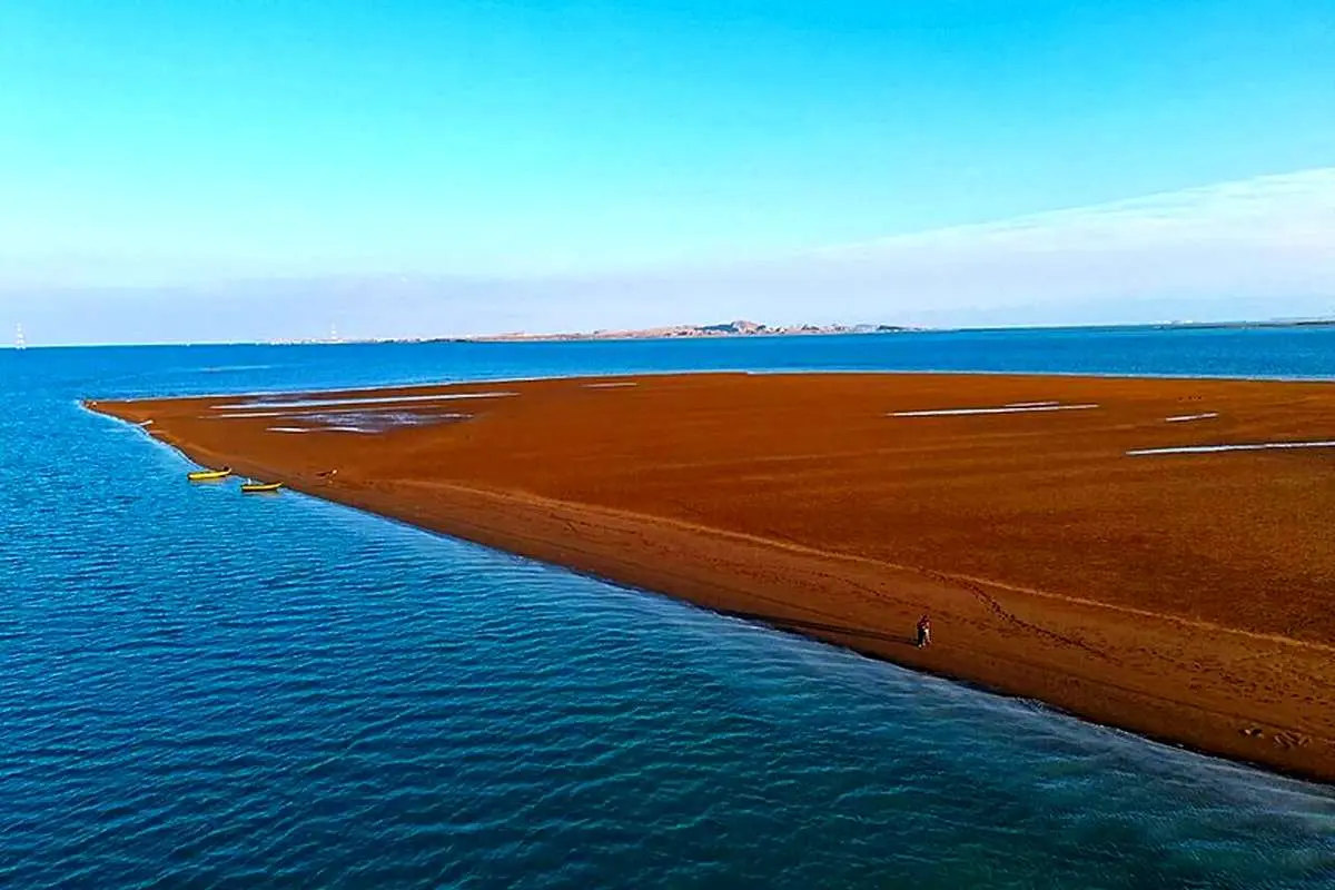 سفر به وارمی، جزیره‌ای که با جزر و مد زندگی می‌کند