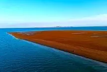 سفر به وارمی، جزیره‌ای که با جزر و مد زندگی می‌کند