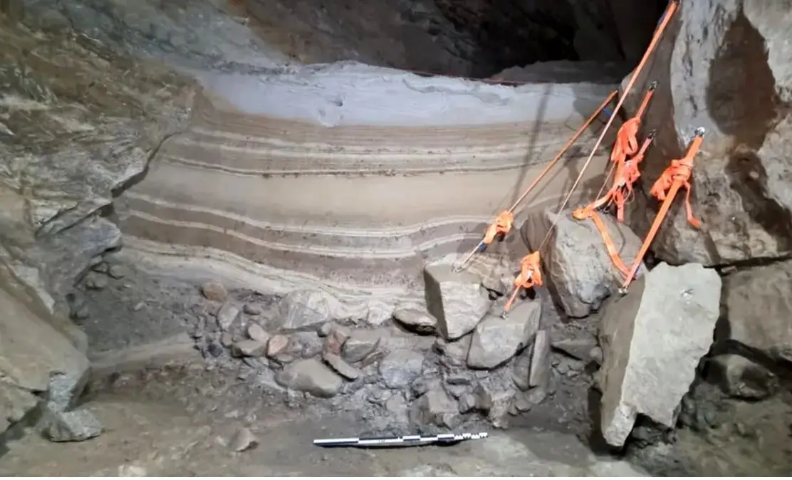 ۴۶ حیوان عصر یخبندان در غار شمال نروژ کشف شد!