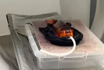 ماجرای شگفت‌انگیز سی‌تی‌اسکن یک ماهی