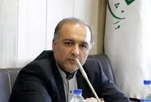 سبحانی: اطلاعاتی داریم که ریزپرنده‌ها از برخی کشورهای همسایه وارد ایران شده است