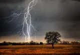 صاعقه، زن و گربه‌اش را ترساند