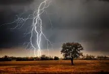 صاعقه، زن و گربه‌اش را ترساند