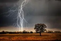 صاعقه، زن و گربه‌اش را ترساند