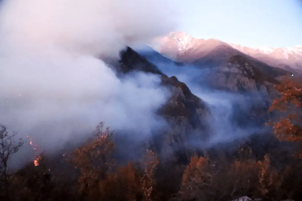 چرا آتش به جان جنگل الیت افتاد؟