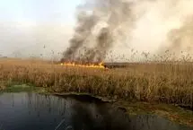 تداوم خودسوزی بخش عراقی هورالعظیم تا پایان آبان 