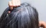 6 روش علمی برای به تاخیر انداختن سفیدی موها