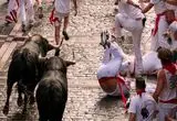 ببینید؛ جشنواره سن‌فرمین؛ هیجان و آدرنالین در برابر شاخ‌ و سم‌ گاوهای نر  