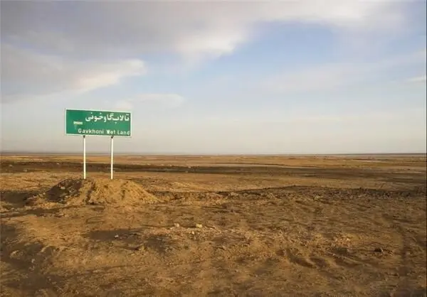 فاجعه انسانی در تالاب خفته گاوخونی 

