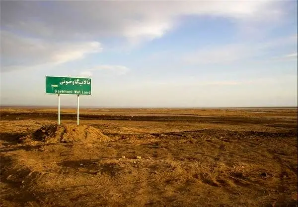 فاجعه انسانی در تالاب خفته گاوخونی 

