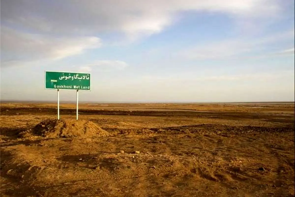 فاجعه انسانی در تالاب خفته گاوخونی