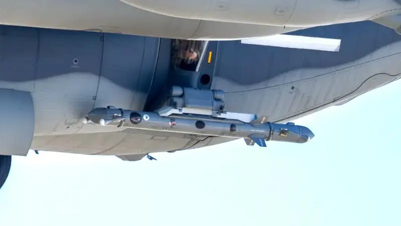 بچه گربه خشمگین