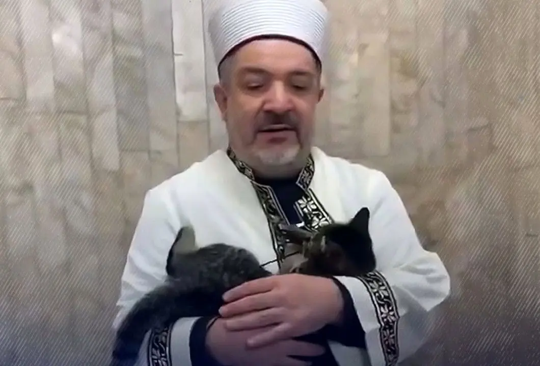 گربه‌ای در آغوش امام مسجد آرام گرفت 